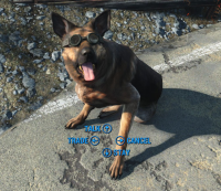 dogmeat-goggles.jpg