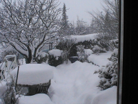 hiver 2012 008.jpg