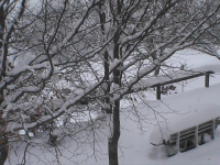 hiver 2012 011.jpg