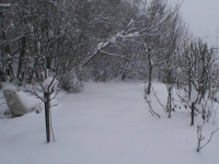 hiver 2012 013.jpg