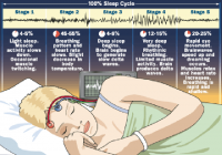 sleep-stages.bmp