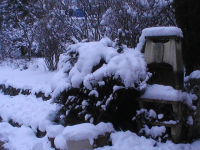 hiver 2012 003.jpg