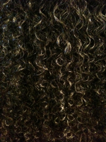 curly-closeup.jpg